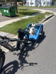 Electric Bike Accessories